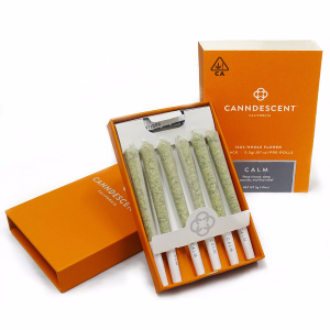 10 Pack – .3g Hash Infused Pre Rolls